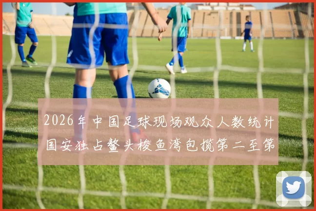 2026年中国足球现场观众人数统计国安独占鳌头梭鱼湾包揽第二至第七位